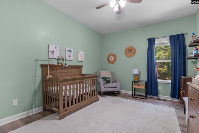 133 Night Harbor Drive, Chapin, SC 29036