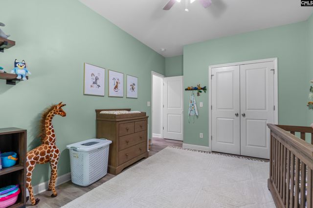 133 Night Harbor Drive, Chapin, SC 29036