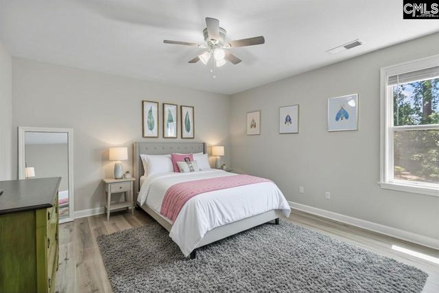 133 Night Harbor Drive, Chapin, SC 29036