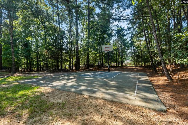 133 Night Harbor Drive, Chapin, SC 29036
