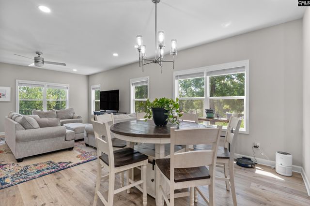 133 Night Harbor Drive, Chapin, SC 29036