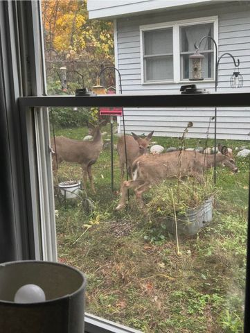 51536 Summit Street, Paw Paw, MI 49079