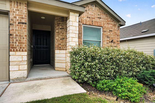1921 Grey Wagtail, New Braunfels, TX 78130