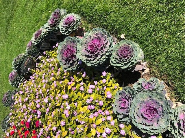 9155 E Center Ave 3B, Denver, CO 80247