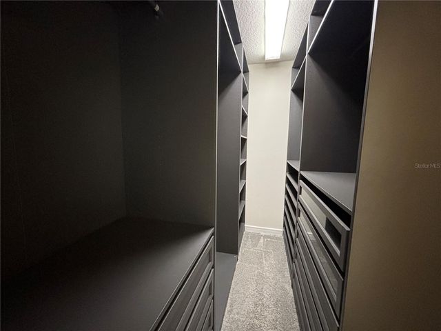 14250 SAPELO BEACH DRIVE, Orlando, FL 32827