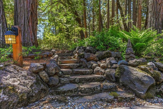 23335 Fortress Way, Pioneer, CA 95666