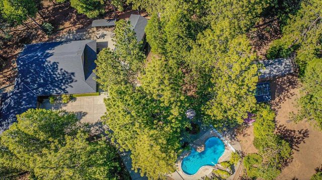 23335 Fortress Way, Pioneer, CA 95666