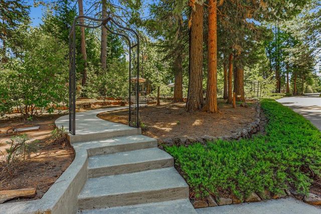 23335 Fortress Way, Pioneer, CA 95666