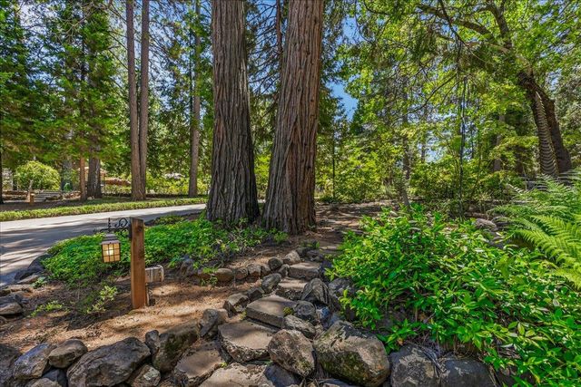 23335 Fortress Way, Pioneer, CA 95666