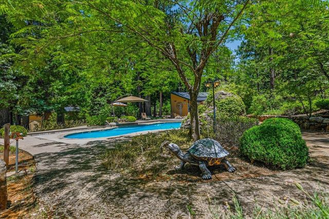 23335 Fortress Way, Pioneer, CA 95666