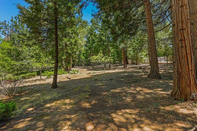 23335 Fortress Way, Pioneer, CA 95666