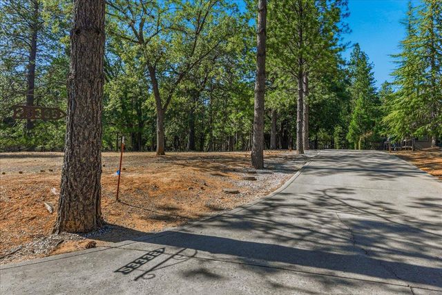 23335 Fortress Way, Pioneer, CA 95666