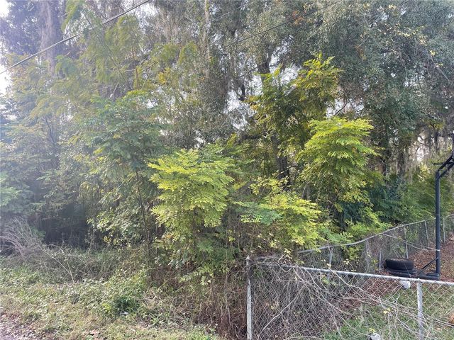 131 LAKE MAMIE ROAD, Deland, FL 32724