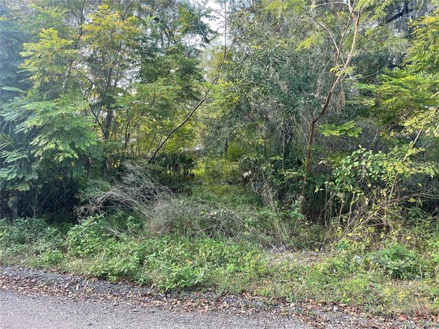 131 LAKE MAMIE ROAD, Deland, FL 32724