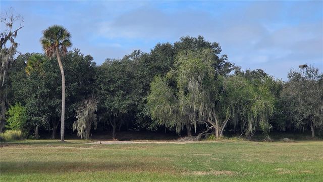 15311 FISHHAWK HEIGHTS RUN, Lithia, FL 33547