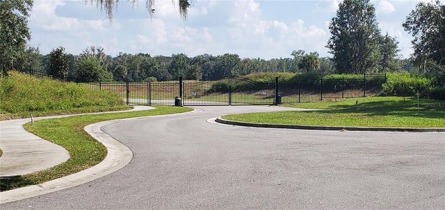 15311 FISHHAWK HEIGHTS RUN, Lithia, FL 33547