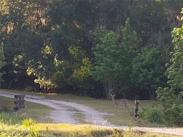 15311 FISHHAWK HEIGHTS RUN, Lithia, FL 33547