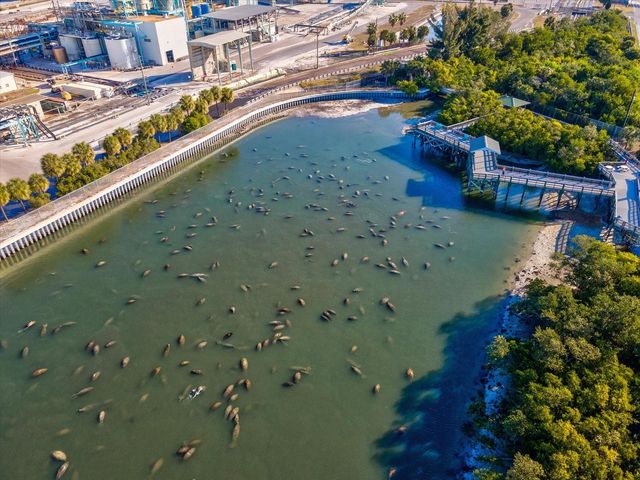 617 KINGSTON COURT, Apollo Beach, FL 33572