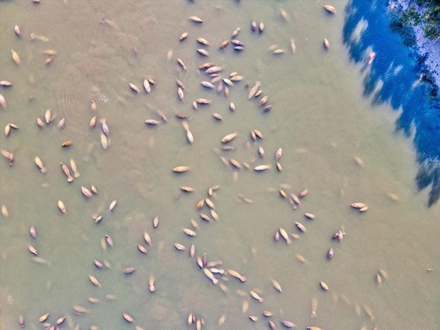 617 KINGSTON COURT, Apollo Beach, FL 33572