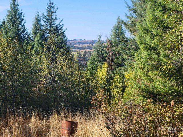 250 Shenandoah 3rd, Kamiah, ID 83536