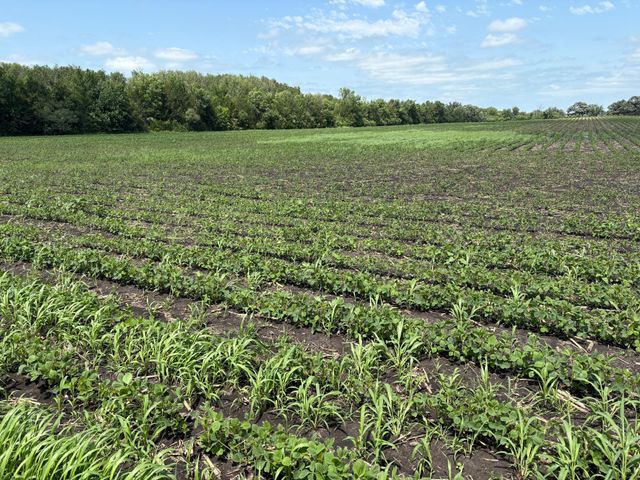TBD 348th Street, Lake Prairie Twp, MN 56058