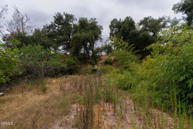 3041 Via Maderas, Altadena, CA 91001