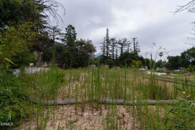 3041 Via Maderas, Altadena, CA 91001