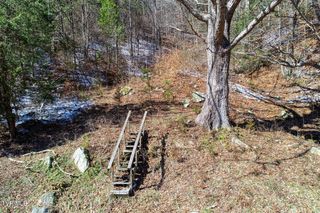Tbd Grassy Creek Road, Rogersville, TN 37857
