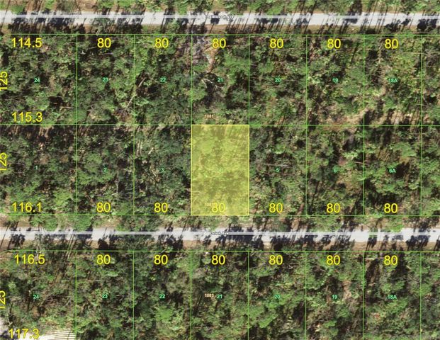 17418 ORION AVENUE, Port Charlotte, FL 33954