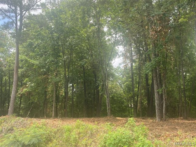 232 Nixon Road, Millbrook, AL 36022