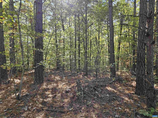 10239 HOWARDSVILLE RD, Howardsville, VA 24562