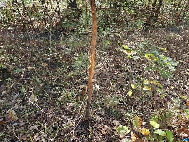 10239 HOWARDSVILLE RD, Howardsville, VA 24562