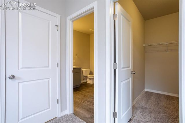 7320 Cornice Point, Colorado Springs, CO 80923