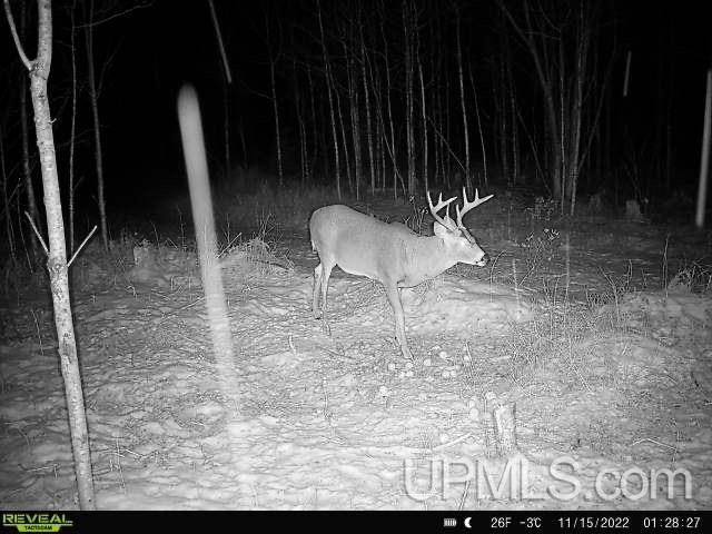 6072 Big Lick Lake Road, Republic, MI 49879