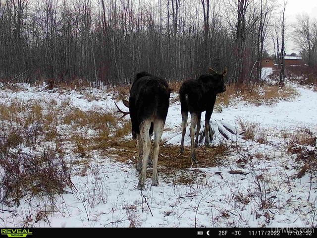 6072 Big Lick Lake Road, Republic, MI 49879