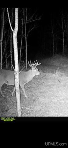 6072 Big Lick Lake Road, Republic, MI 49879