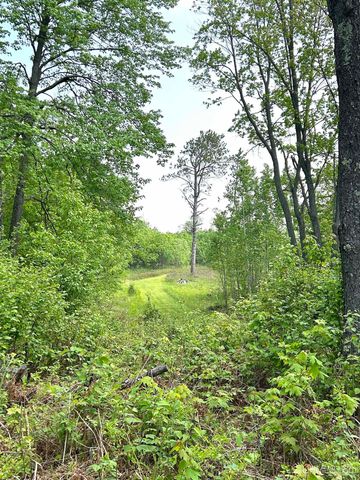 6072 Big Lick Lake Road, Republic, MI 49879