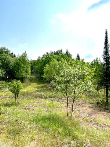 6072 Big Lick Lake Road, Republic, MI 49879