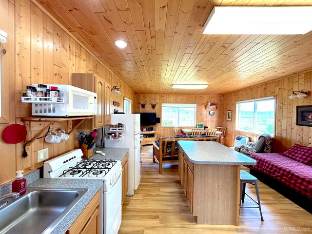 6072 Big Lick Lake Road, Republic, MI 49879