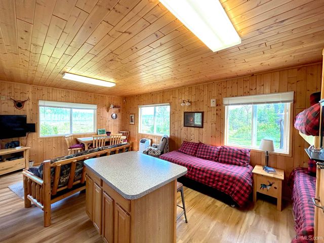 6072 Big Lick Lake Road, Republic, MI 49879