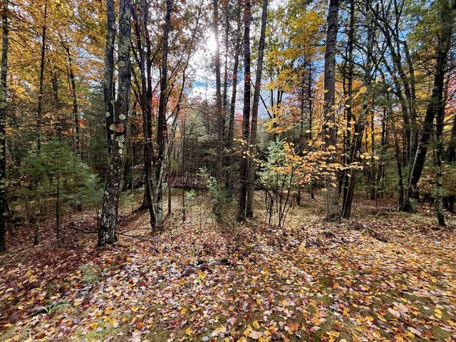 3973 E Creek Wood Drive, Cherry Valley Twp, MI 49623