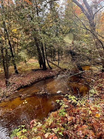 3973 E Creek Wood Drive, Cherry Valley Twp, MI 49623