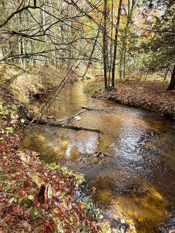 3973 E Creek Wood Drive, Cherry Valley Twp, MI 49623