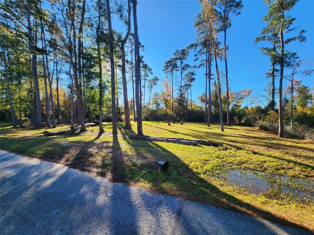 350 Brahman, Onalaska, TX 77360