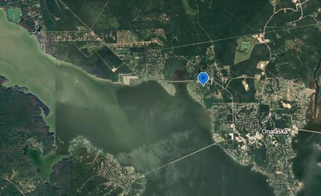 350 Brahman, Onalaska, TX 77360