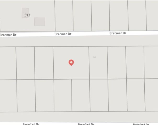 350 Brahman, Onalaska, TX 77360