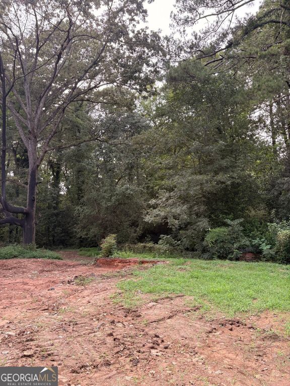 7821 Adamson Road, Jonesboro, GA 30236 — photo 2