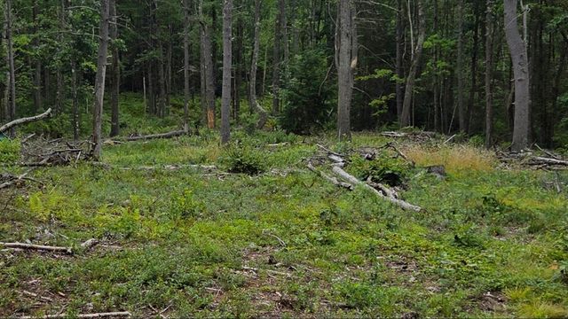 Lot B1&B2 Baldwinville Road, Winchendon, MA 01475