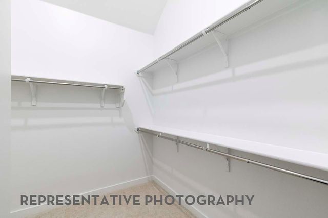 2926 Mellow Pines Lane, Webster, TX 77598