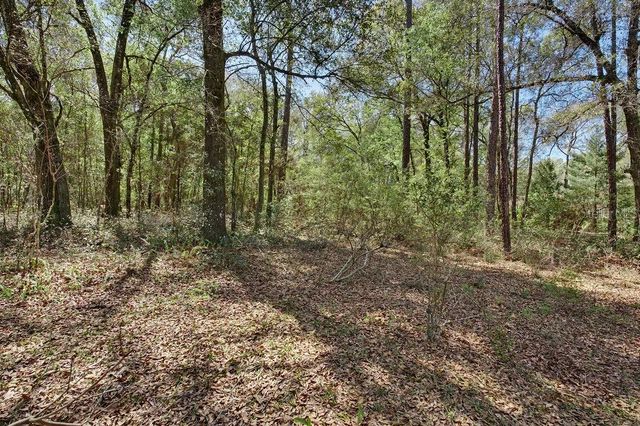 20940 SW 93RD LANE ROAD, Dunnellon, FL 34431